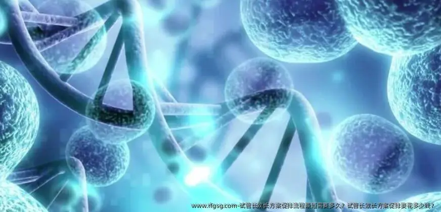 试管长效长方案促排流程最短需要<a href='/tag/97'>多久</a>？试管长效长方案促排要花多少钱？