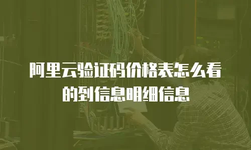 阿里云验证码价格表怎么看的到信息明细信息