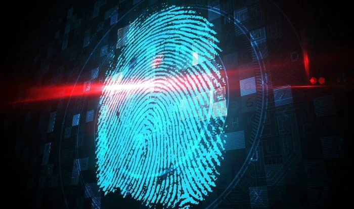 php编程软件【php开发是什么】