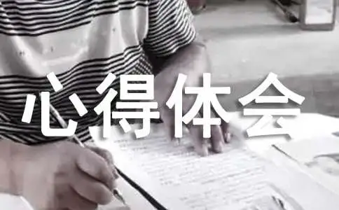 字体设计心得体会