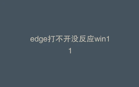 edge打不开没反应win11