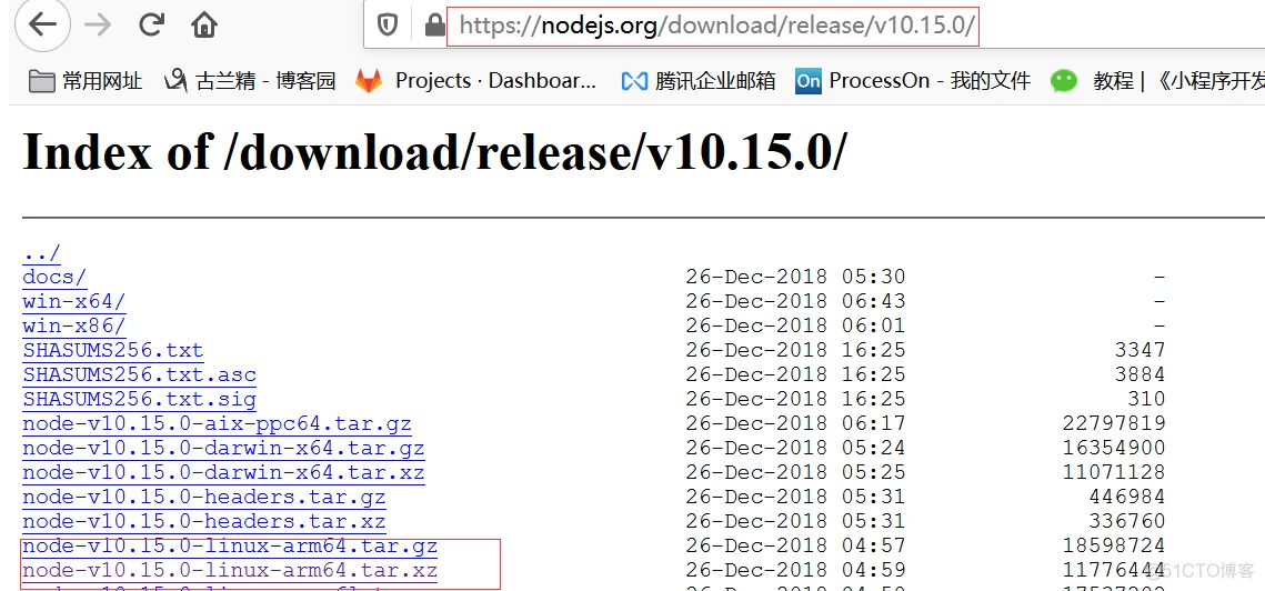 linux服务器安装nodeJS步骤及踩坑记录（解决node -v报错cannot execute binary file: Exec format error的问题 - 在Linux中安装适用于arm64位的nodejs）以及node环境项目部署_linux_04