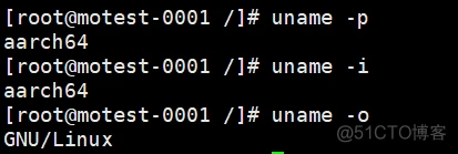 linux服务器安装nodeJS步骤及踩坑记录（解决node -v报错cannot execute binary file: Exec format error的问题 - 在Linux中安装适用于arm64位的nodejs）以及node环境项目部署_ide_07
