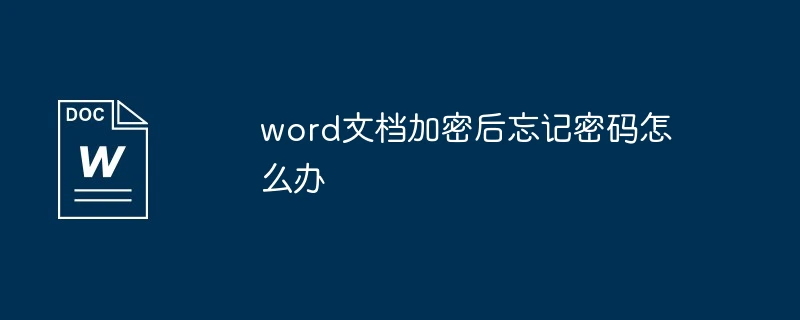 word文档加密后忘记密码<a href='/tag/254'>怎么办</a>