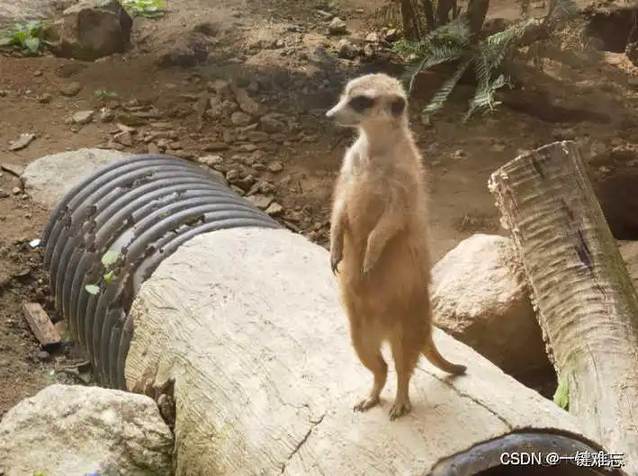 在这里插入图片描述 python 查询连续查询mysql_python 查询连续查询mysql