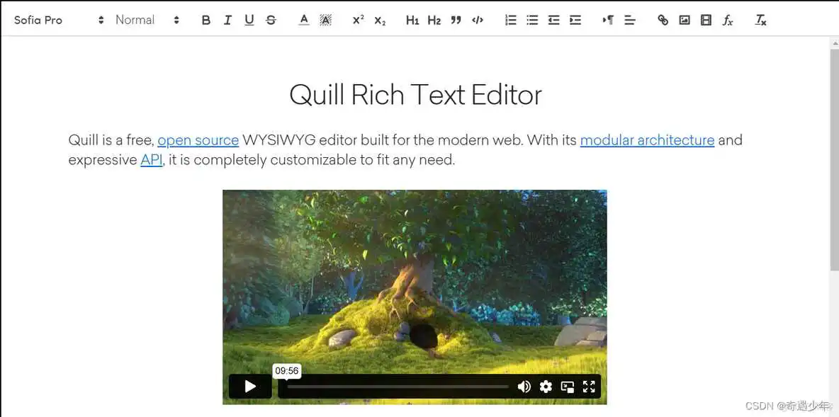 十二款·富文本编辑器:数字创作的瑞士军刀_java_15