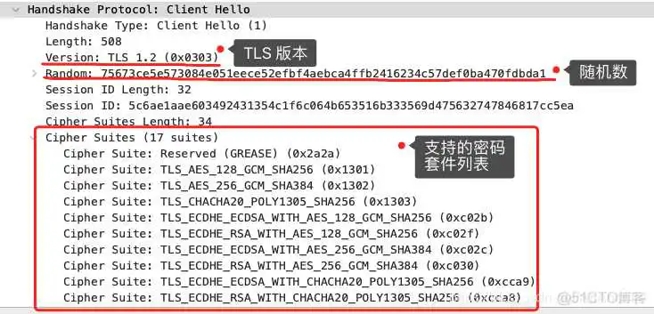 在这里插入图片描述 能识别dtls的wireshark_加密算法_03