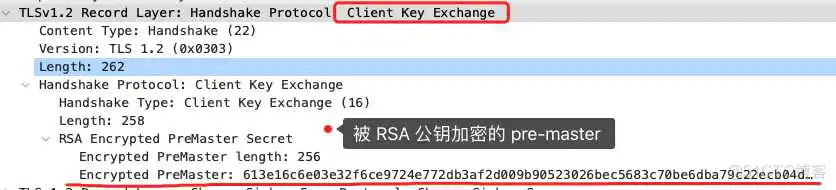能识别dtls的wireshark_能识别dtls的wireshark_09