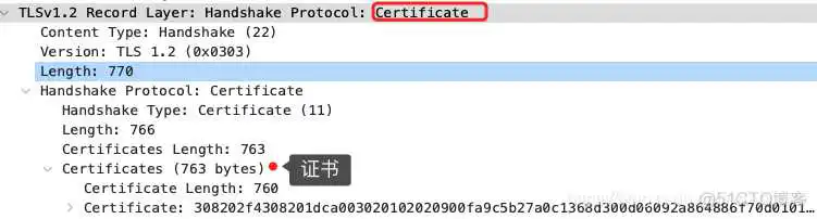 能识别dtls的wireshark_加密算法_06