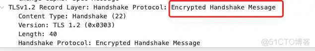 能识别dtls的wireshark_服务器_11