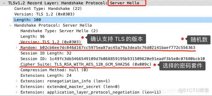 能识别dtls的wireshark_客户端_04