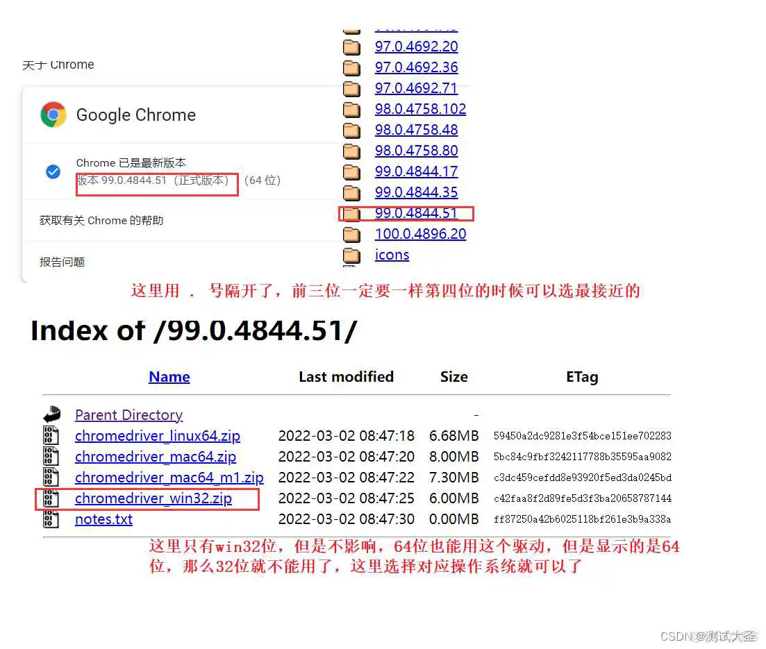 python 使用selenium打不开一些网站_自动化测试_04