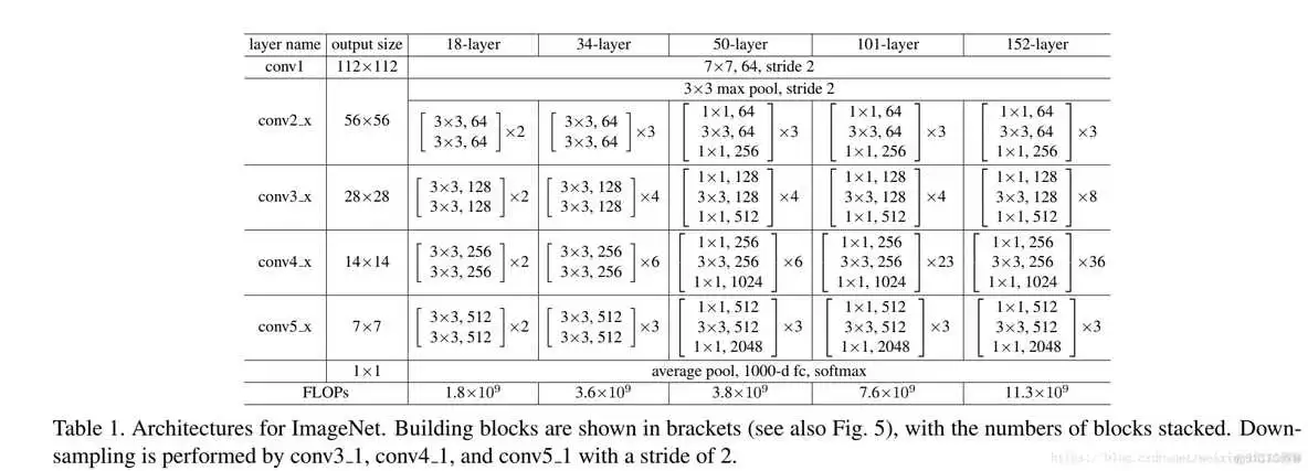 在这里插入图片描述 cpu上resnet快还是yolov5快 resnet18和resnet50区别_池化_19