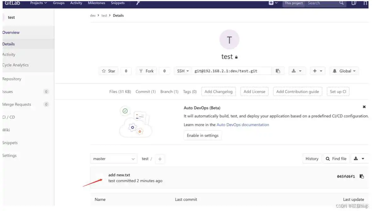 gitlab新建一个仓库_运维_09