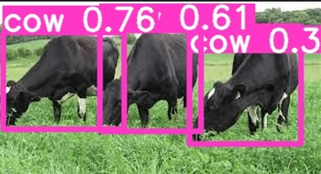 be067332-9050-11ef-a511-92fbcf53809c.png