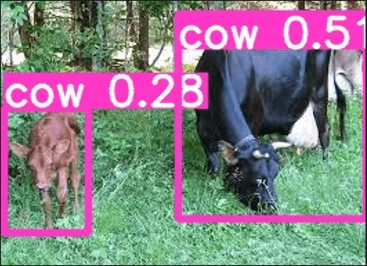 bddc6d08-9050-11ef-a511-92fbcf53809c.png