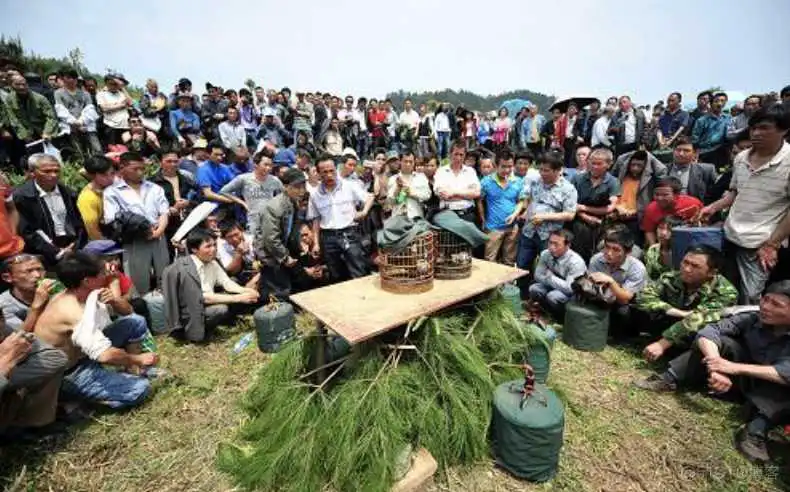 应用程序设计:在动态库中如何调用外部函数?_可执行程序_03