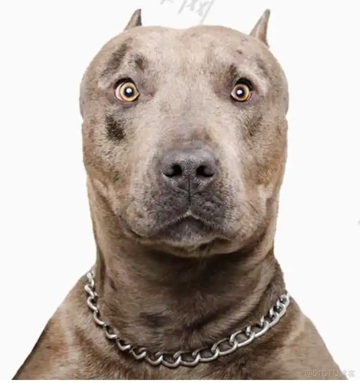 应用程序设计:在动态库中如何调用外部函数?_程序设计_12