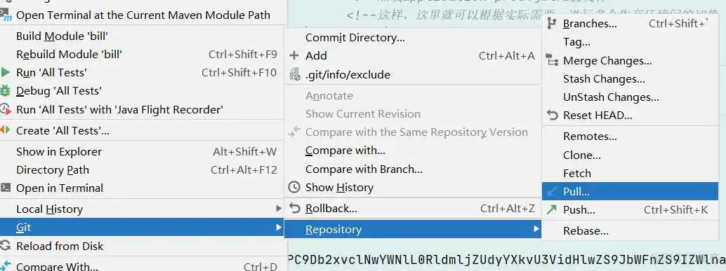 idea git基本用法(从git下载、更新、提交代码)_远程仓库_06