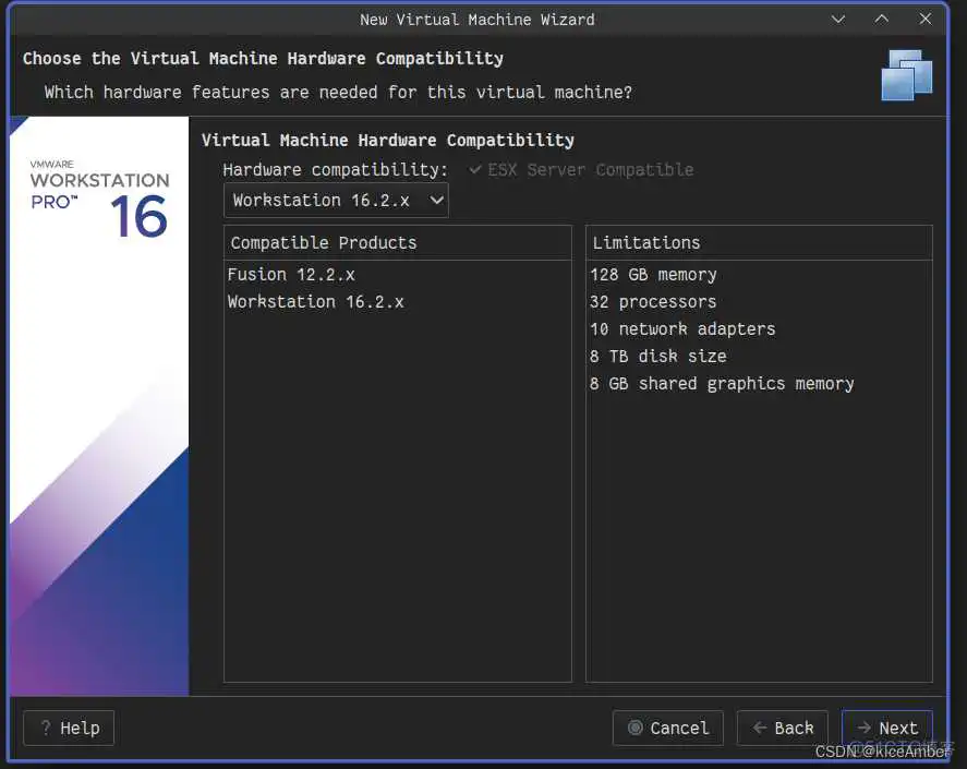bios打开虚拟机后Kernel DMa protection需要关闭吗_服务器_02