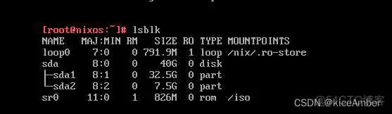 bios打开虚拟机后Kernel DMa protection需要关闭吗_linux_15