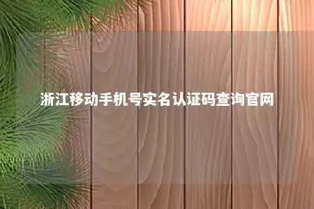 浙江移动手机号实名认证码查询官网