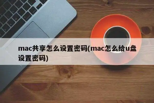 mac共享怎么设置密码(mac怎么给u盘设置密码)