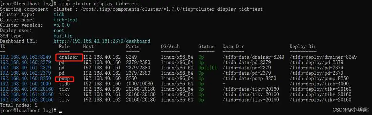 springboot 集成acitivit7设计_TIDB_03