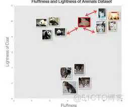图像分类模型代码_加载_05