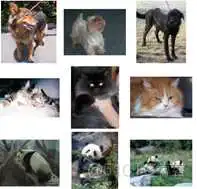 图像分类模型代码_人工智能