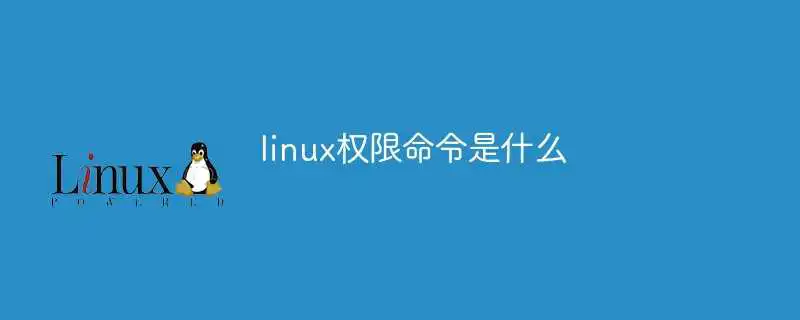 linux权限命令是什么