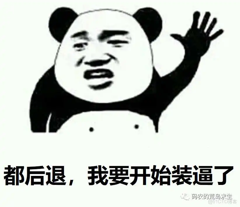nios V读写RAM_java