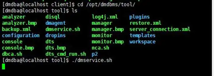 执行 dmservice.sh