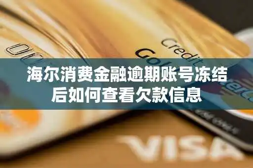 海尔消费金融逾期账号冻结后如何查看欠款信息