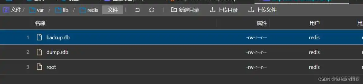 redis连接驱动包 redis连接服务器_redis连接驱动包_16