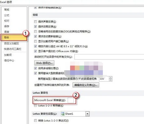 在Microsoft Excel菜单键(M)