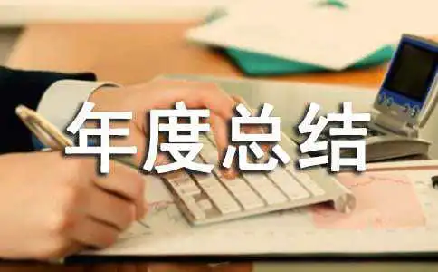 个人年度总结范文（通用17篇）