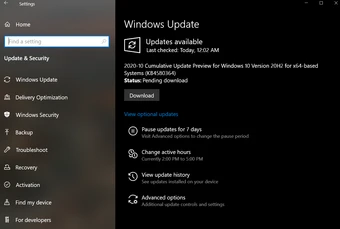 下载 Windows 更新