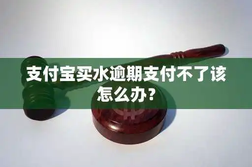 支付宝买水逾期支付不了该怎么办？