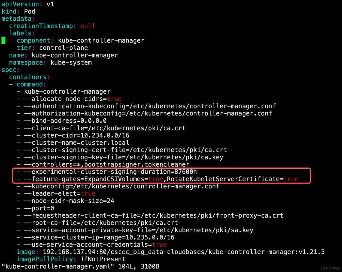 Kubelet证书自动续签(为kubelet配置证书轮换)_API_02