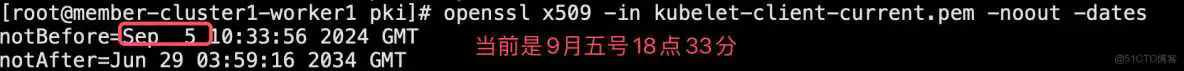 Kubelet证书自动续签（为kubelet配置证书轮换）_API_03