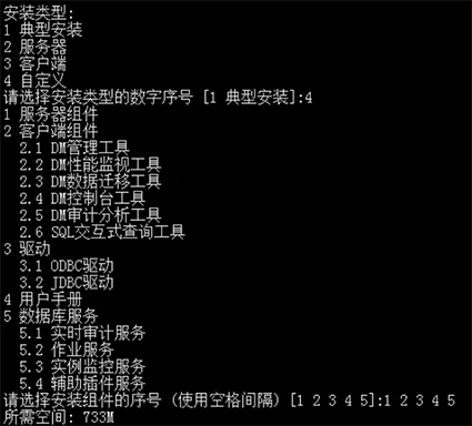 选择安装类型