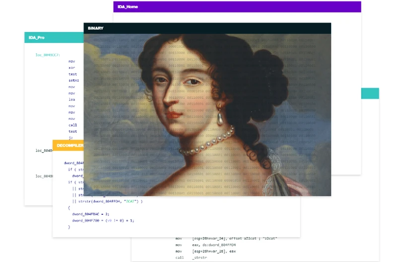 IDA Pro