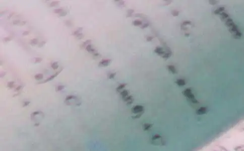 小学二年级数学下册教案