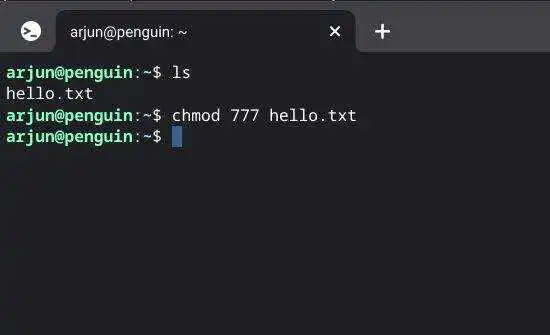 运行 chmod 777 命令