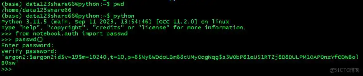 生成密码 Linux终端跑代码指定gpu_jupyter_08