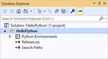 显示在解决方案资源管理器中新创建的空 Python Web 项目的屏幕截图。