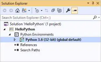 显示 Visual Studio 2019 中的默认环境的解决方案资源管理器的屏幕截图。