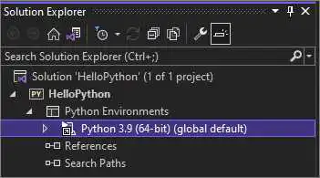 显示 Visual Studio 2022 中的默认环境的解决方案资源管理器的屏幕截图。