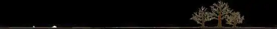大树分割线